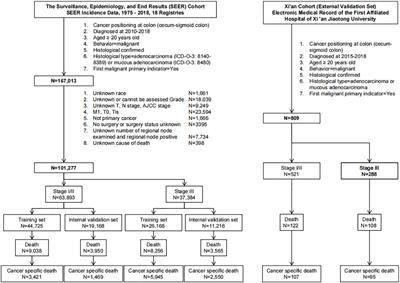 Development and validation of a new stage-specific nomogram model for predicting cancer-specific survival in patients in different stages of colon cancer: A SEER population-based study and external validation